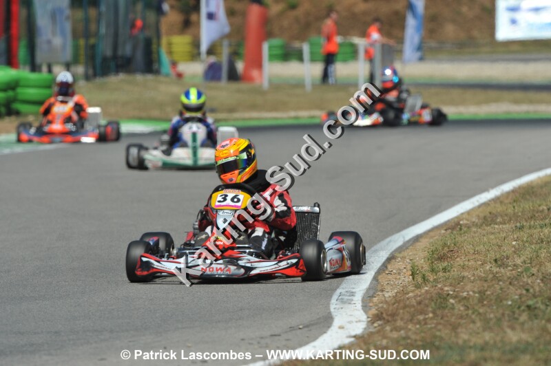 DSC_ (367).JPG